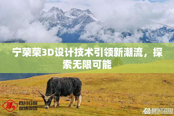 宁荣荣3D设计技术引领新潮流，探索无限可能