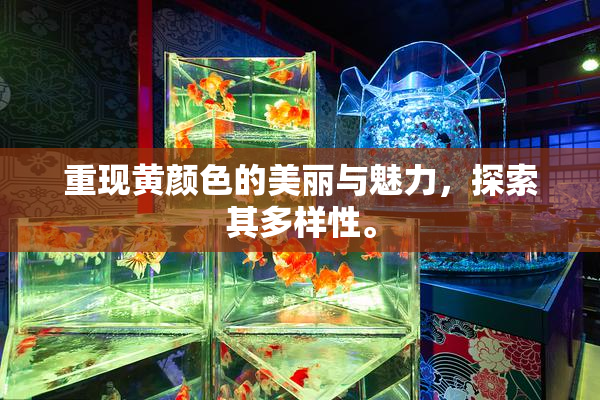 重现黄颜色的美丽与魅力，探索其多样性。