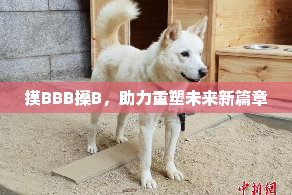 摸BBB搡B，助力重塑未来新篇章