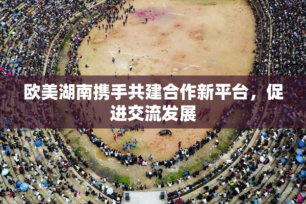 欧美湖南携手共建合作新平台，促进交流发展