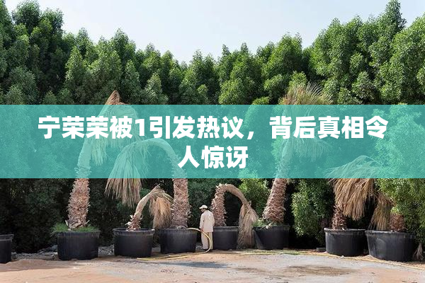 宁荣荣被1引发热议，背后真相令人惊讶