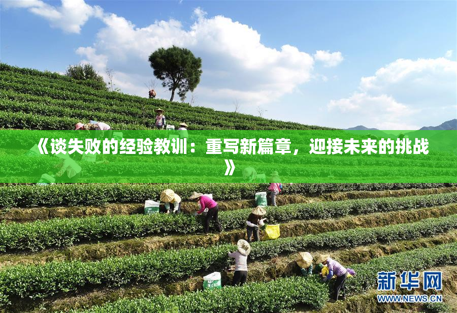 《谈失败的经验教训：重写新篇章，迎接未来的挑战》
