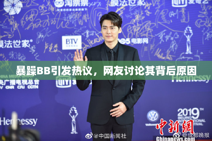 暴躁BB引发热议，网友讨论其背后原因