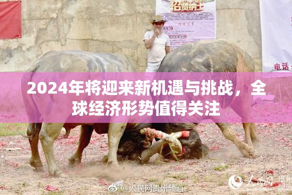 2024年将迎来新机遇与挑战，全球经济形势值得关注