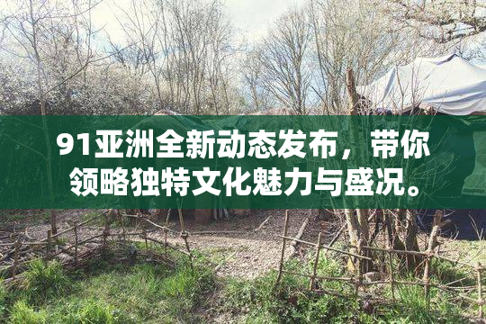 91亚洲全新动态发布，带你领略独特文化魅力与盛况。