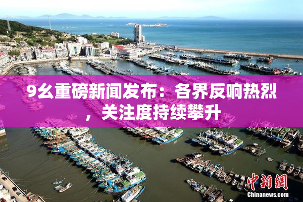 9幺重磅新闻发布：各界反响热烈，关注度持续攀升