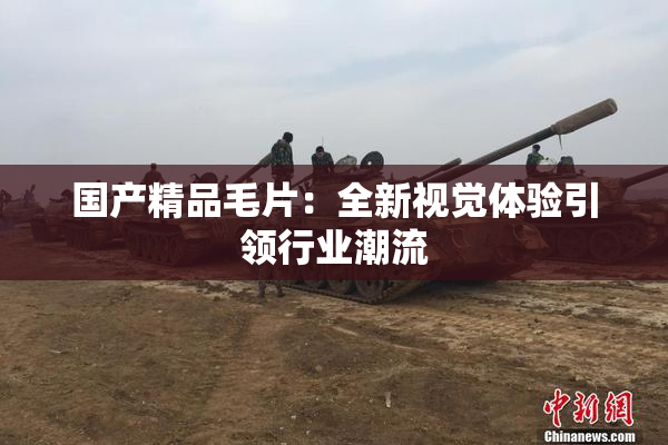 国产精品毛片：全新视觉体验引领行业潮流