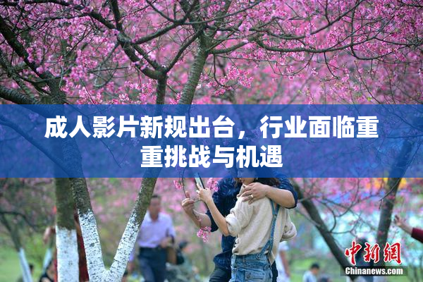 成人影片新规出台，行业面临重重挑战与机遇