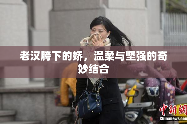 老汉胯下的娇，温柔与坚强的奇妙结合