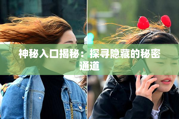 神秘入口揭秘：探寻隐藏的秘密通道
