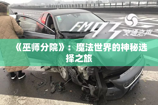 《巫师分院》：魔法世界的神秘选择之旅