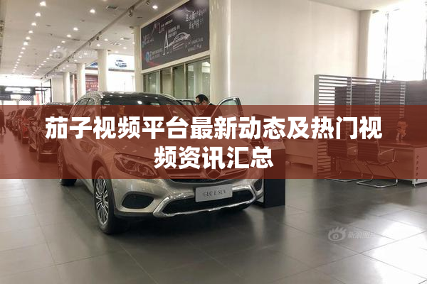 茄子视频平台最新动态及热门视频资讯汇总
