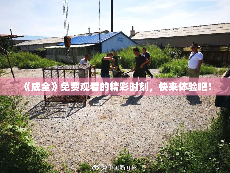 《成全》免费观看的精彩时刻，快来体验吧！