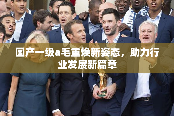 国产一级a毛重焕新姿态，助力行业发展新篇章
