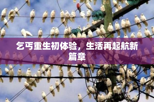 乞丐重生初体验，生活再起航新篇章