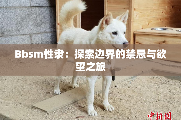Bbsm性隶：探索边界的禁忌与欲望之旅