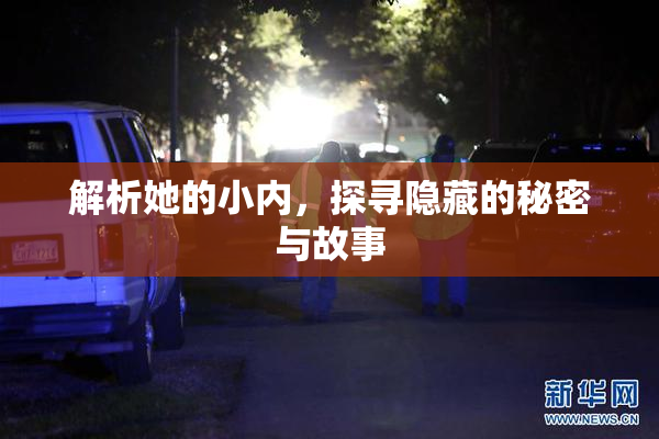 解析她的小内，探寻隐藏的秘密与故事