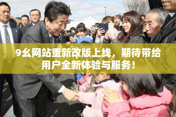 9幺网站重新改版上线，期待带给用户全新体验与服务！