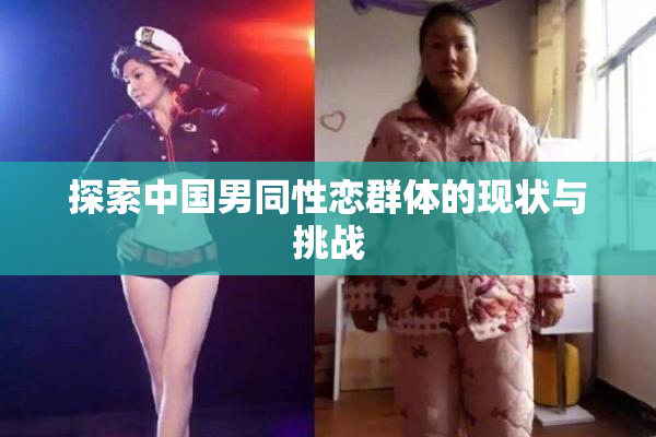 探索中国男同性恋群体的现状与挑战