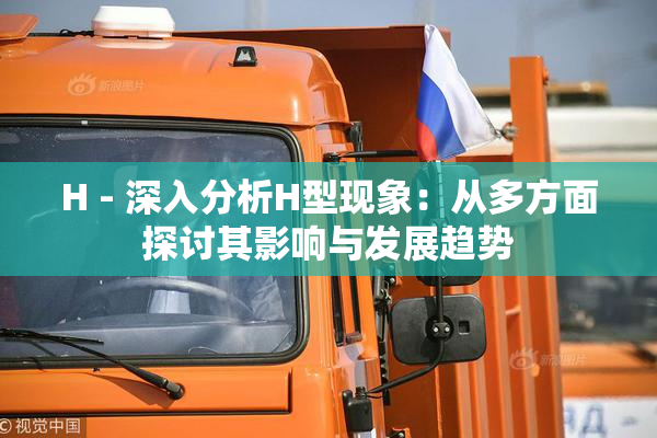 H - 深入分析H型现象：从多方面探讨其影响与发展趋势