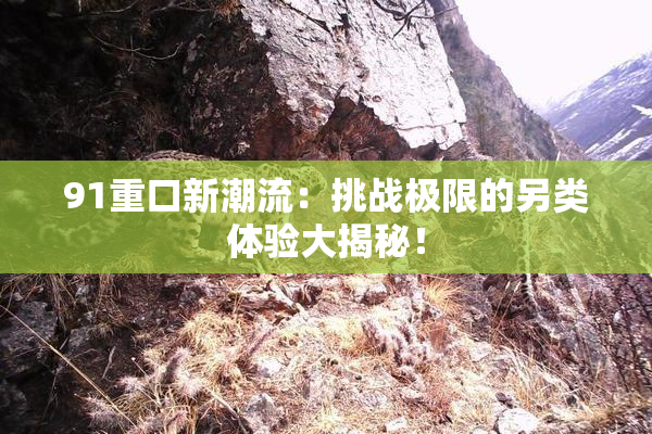 91重口新潮流：挑战极限的另类体验大揭秘！