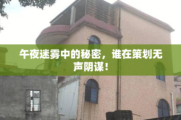 午夜迷雾中的秘密，谁在策划无声阴谋！