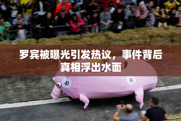 罗宾被曝光引发热议，事件背后真相浮出水面