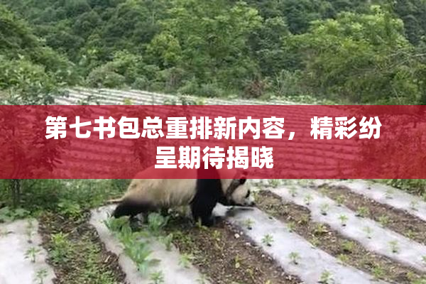第七书包总重排新内容，精彩纷呈期待揭晓