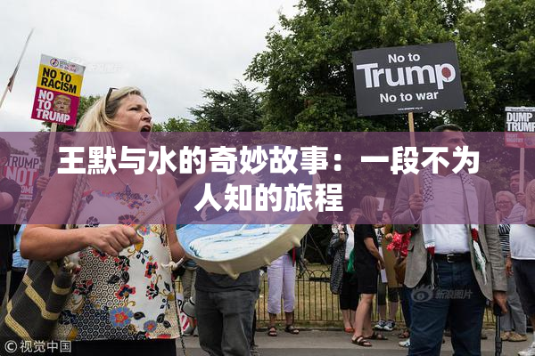 王默与水的奇妙故事：一段不为人知的旅程