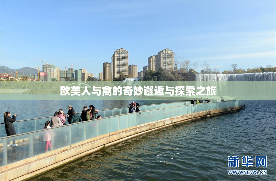 欧美人与禽的奇妙邂逅与探索之旅