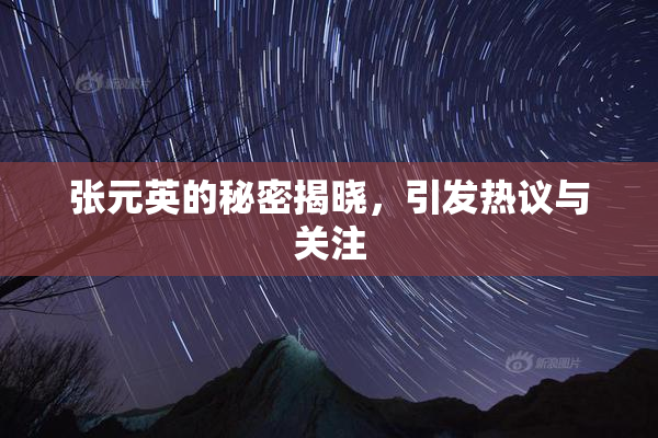 张元英的秘密揭晓，引发热议与关注