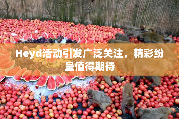 Heyd活动引发广泛关注，精彩纷呈值得期待