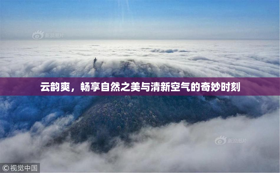 云韵爽，畅享自然之美与清新空气的奇妙时刻