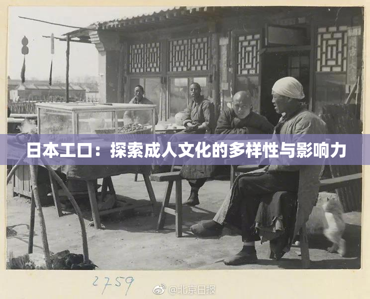 日本工口：探索成人文化的多样性与影响力