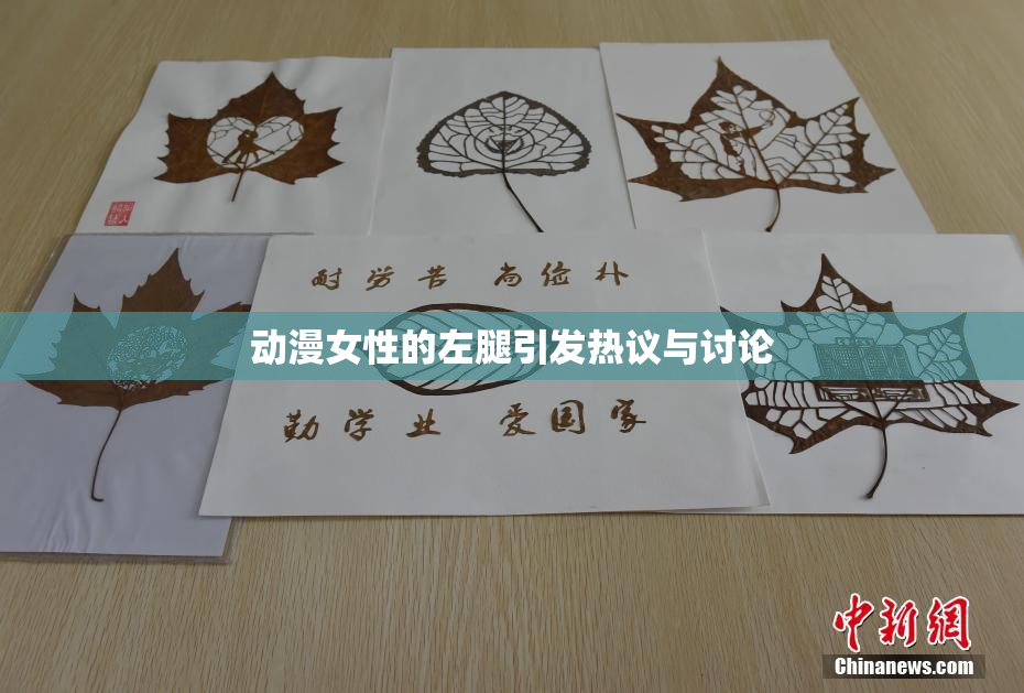 动漫女性的左腿引发热议与讨论