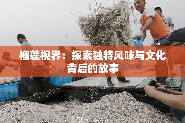 榴莲视界：探索独特风味与文化背后的故事