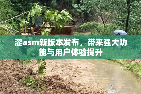 涩asm新版本发布，带来强大功能与用户体验提升