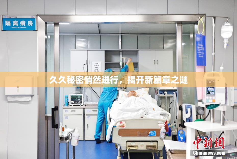 久久秘密悄然进行，揭开新篇章之谜