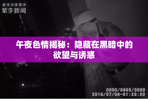 午夜色情揭秘：隐藏在黑暗中的欲望与诱惑