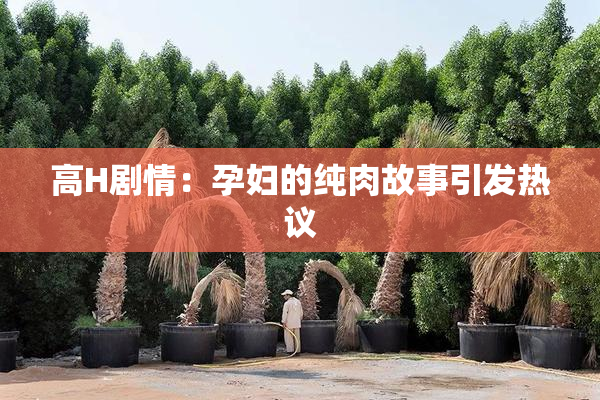 高H剧情：孕妇的纯肉故事引发热议