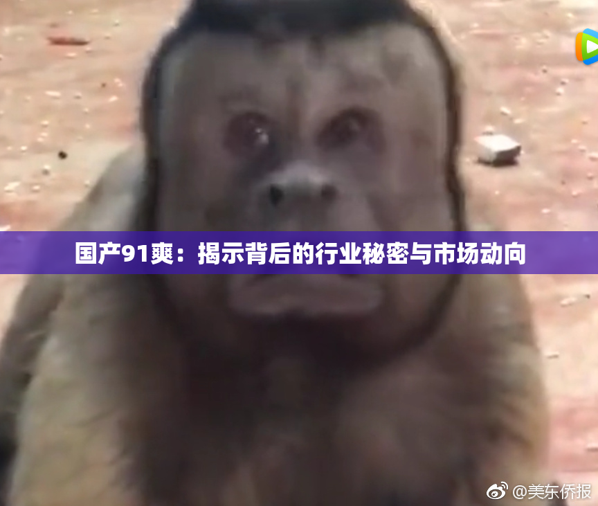 国产91爽：揭示背后的行业秘密与市场动向