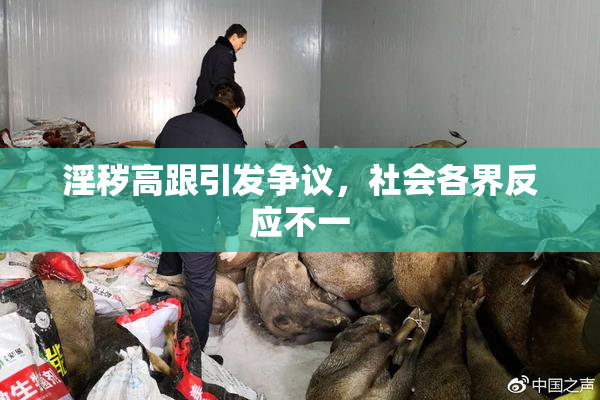 淫秽高跟引发争议，社会各界反应不一