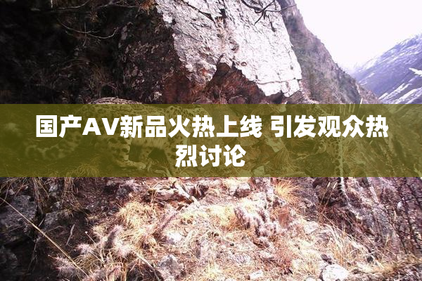 国产AV新品火热上线 引发观众热烈讨论