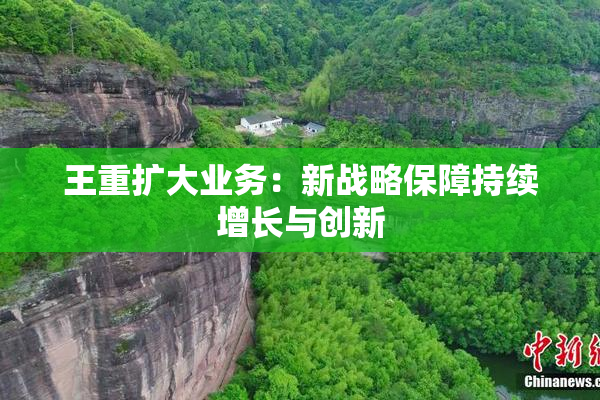 王重扩大业务：新战略保障持续增长与创新