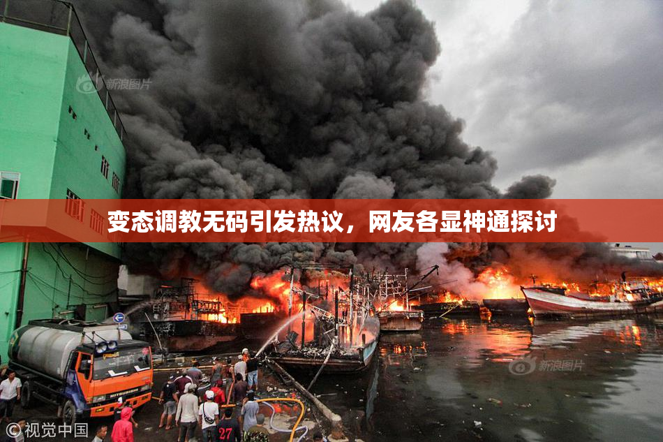 变态调教无码引发热议，网友各显神通探讨