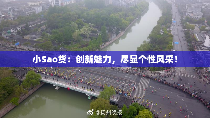 小Sao货：创新魅力，尽显个性风采！