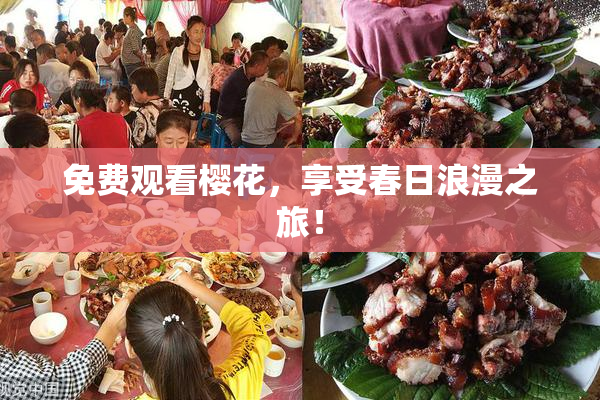 免费观看樱花，享受春日浪漫之旅！