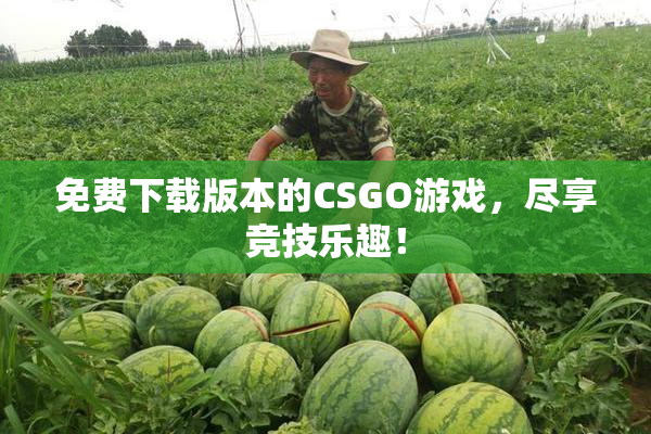 免费下载版本的CSGO游戏，尽享竞技乐趣！