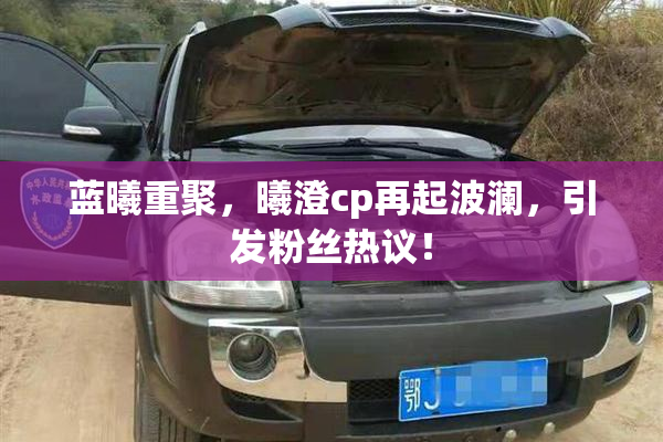 蓝曦重聚，曦澄cp再起波澜，引发粉丝热议！