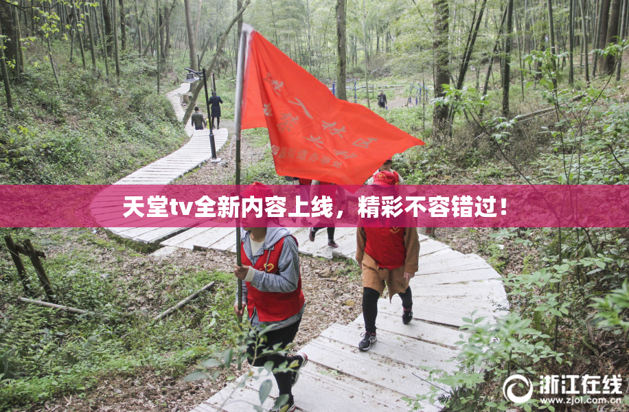 天堂tv全新内容上线，精彩不容错过！